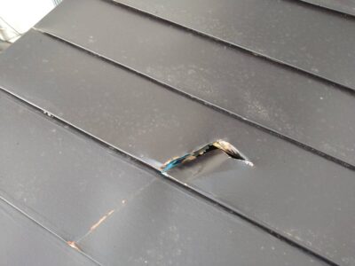 屋根トタン塗装後にハプニング！？( ﾟДﾟ)